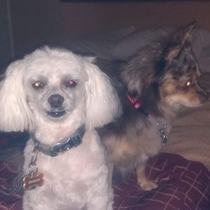 Meet your Posher, Mark